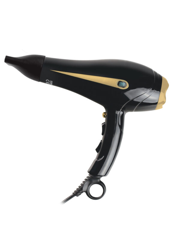 RAKS Pro2200 Profesyonel Fön Makinesi - Görsel 2